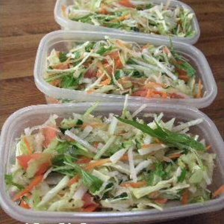 サラダの種を作り置き いろいろ応用簡単 生野菜 レシピ 作り方 By らぶ らぶ 楽天レシピ
